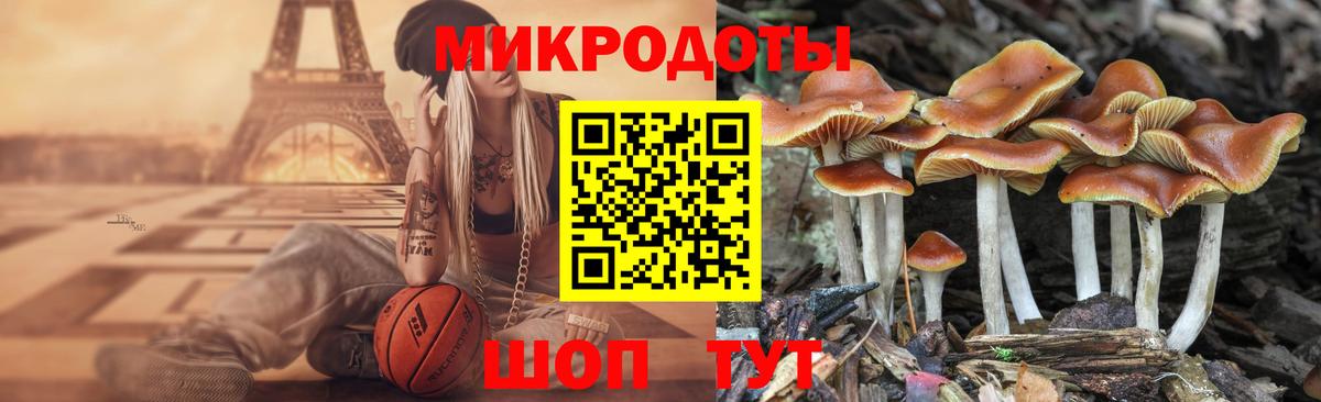 Псилоцибиновые грибы мухоморы Ногинск